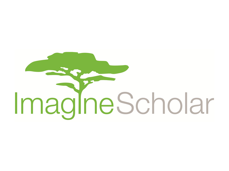 imagine scholar logo